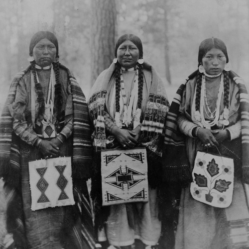 Indigenous Peoples of North America Discussion