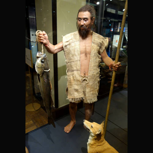 Jomon Discussion