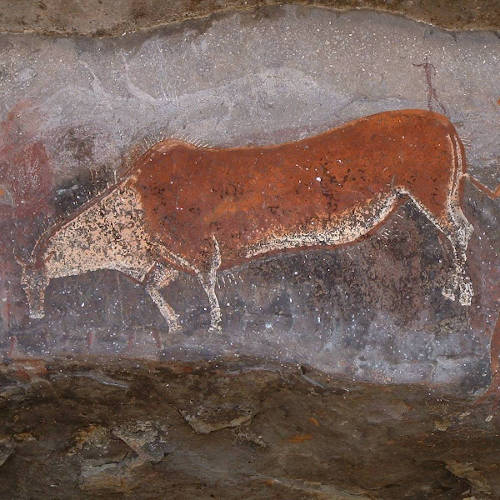 Khoisan Discussion